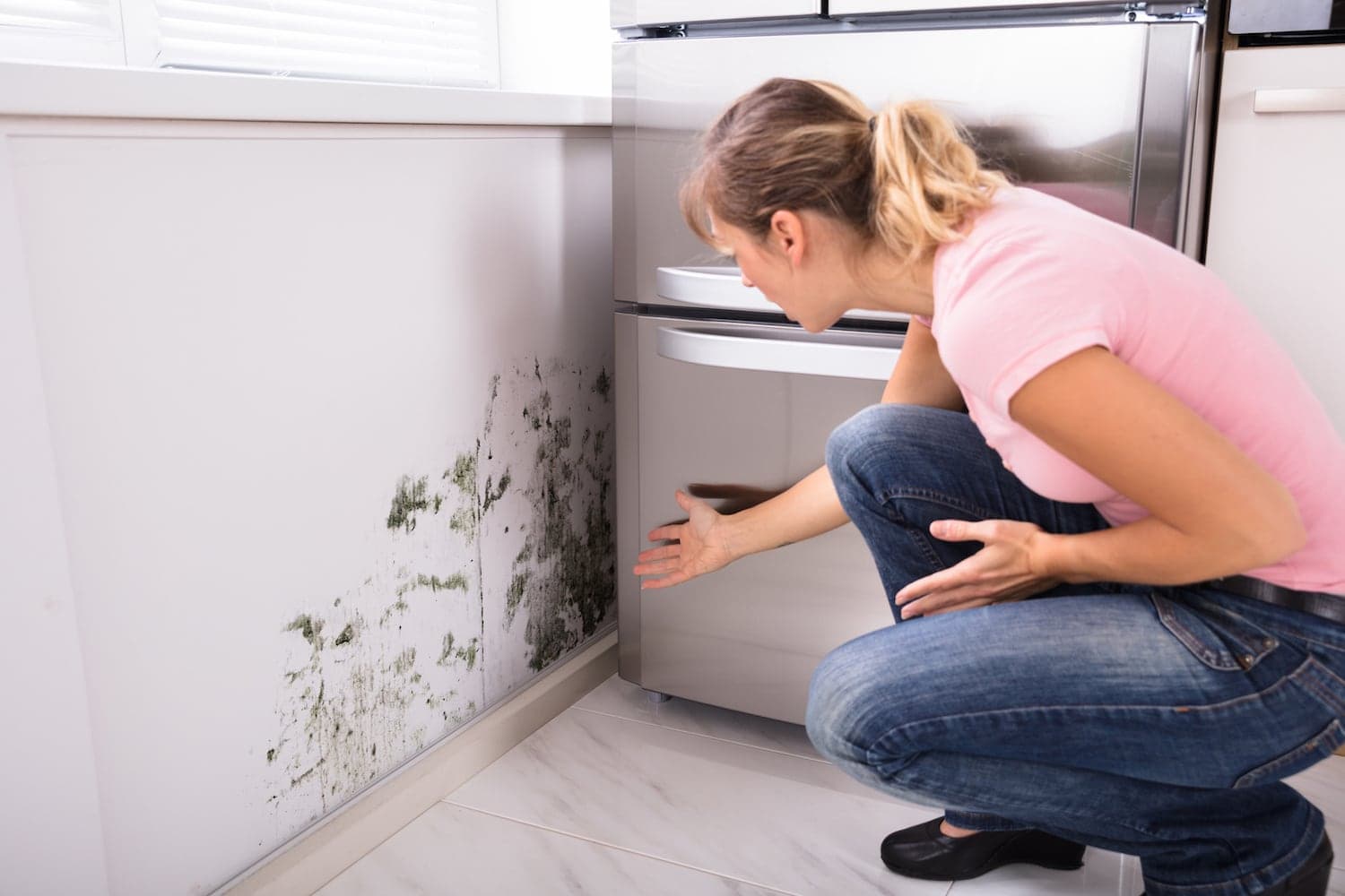 Featured_HOW_TO_PREVENT_MOLD_HUMID_CLIMATE